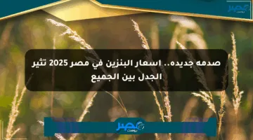صدمة جديدة.. أسعار البنزين في مصر 2025 تثير الجدل بين الجميع
